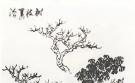 山水画教学参考——秋园教学画稿
