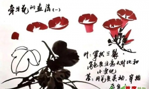 牵牛花画法与步骤