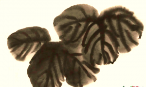深入探索喇叭花：写意画技巧大揭秘