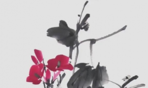 写意国画牵牛花画法