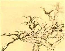 画树技巧全面解析：从基础到高级的树种画法