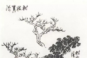 山水画教学参考——秋园教学画稿