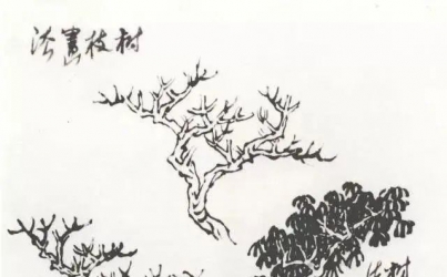 山水画教学参考——秋园教学画稿