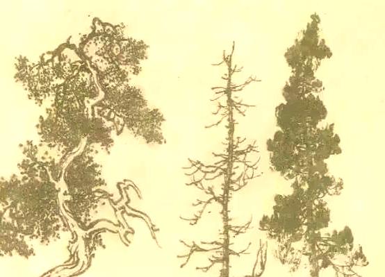 8d5494eef01f3a29c88c96c21829063e5c607c16.jpg