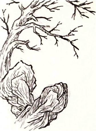 7bac8aa9780a4dd2b9c9c531d418ac15.png