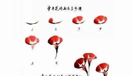 ?url=http%3A%2F%2Fdingyue.ws.126.net%2F2024%2F0908%2F2f9e20c9j00sjgzsu0009d200c2006xg00c2006x.jpg