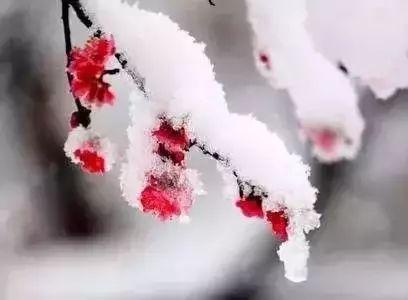dbb44aed2e738bd45f806bcdb334a0d9257ff9fc.jpg