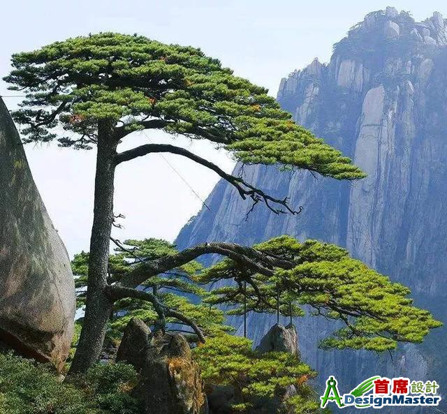 ?url=http%3A%2F%2Fdingyue.ws.126.net%2F2020%2F0727%2Fe8e12da4j00qe48nw002sc000hs00ghm.jpg