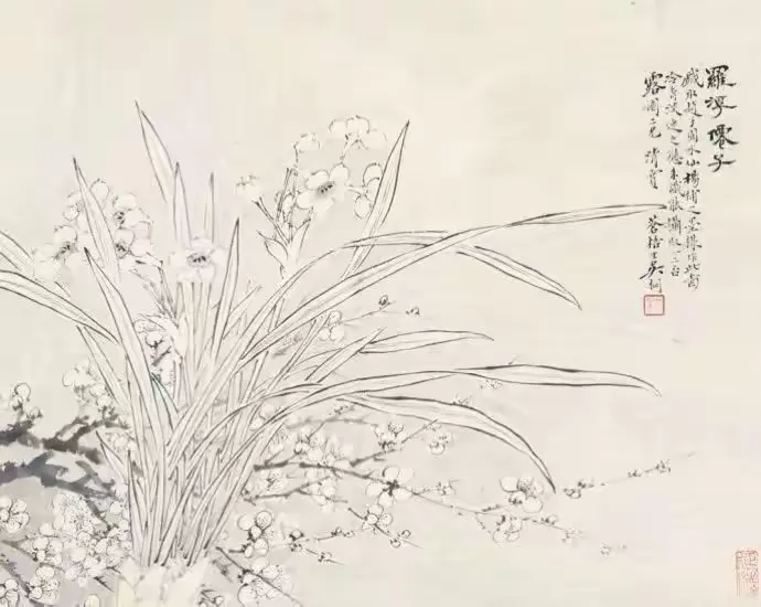 8d43109568b74820b165692d529cbefa__jpg.heic~tplv-s1ctq42ewb-s2-cC-q:750:0:0:0:q80.jpg