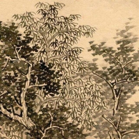 树的画法